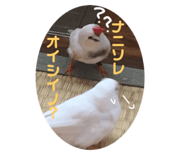 667959891