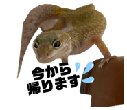 668038287