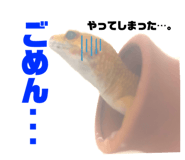 668038293
