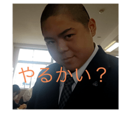 668056818