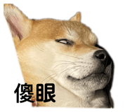 668081606