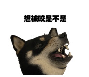 668081609
