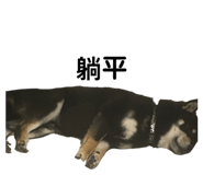 668081612