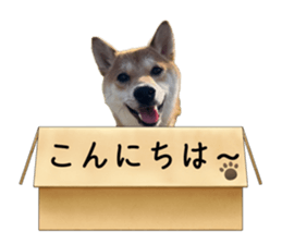 668153284