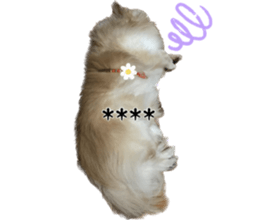 668265931