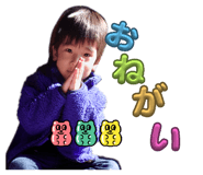 668275590