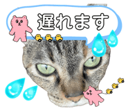 668329104