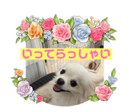 668442265
