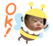 668444605