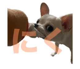 668448945