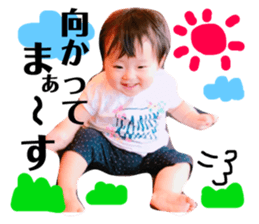 66845524