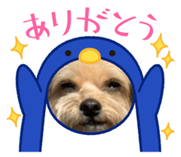 668458812