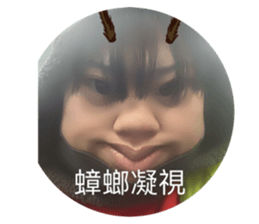 668464203