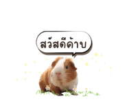 668468110