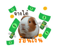 668468118