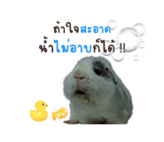 668468120