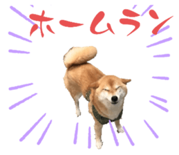 668476796