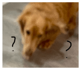 668533374