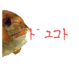668674967