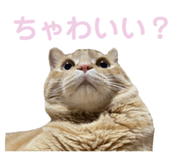 668699007