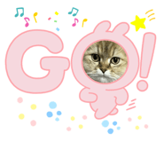 668699034