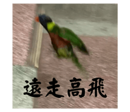 668719514