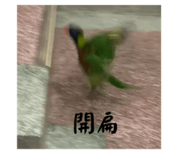 668719515