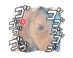 668731604