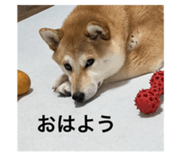 668844089