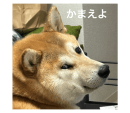 668844095