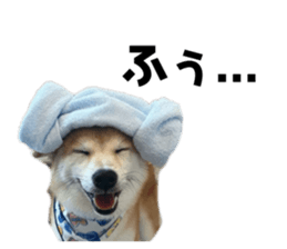 668890446