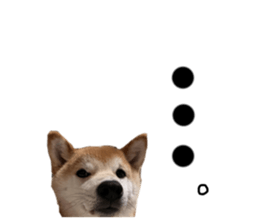 668890451