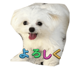 668960212