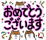 668993977