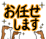 668993996