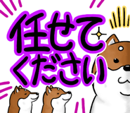668993997