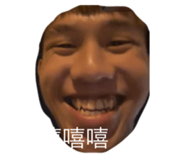 668996817