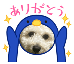 669068896