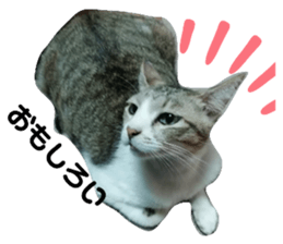 669114623