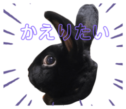 669152814