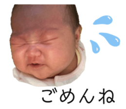 669164433
