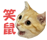669179798
