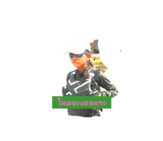 669186010