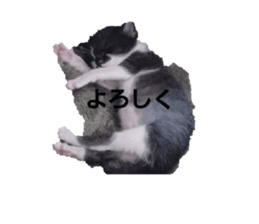 669191446