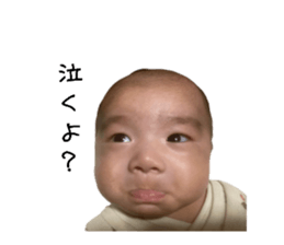669194384