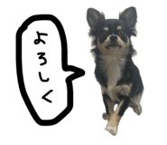 669201154
