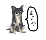 669201156