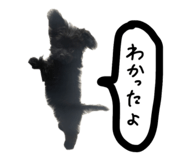 669201159