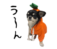 669201163