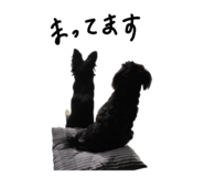669201170